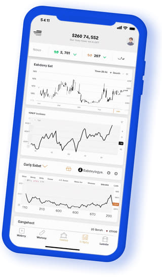 Storm Belegiek digitale webapplicatie op mobiel apparaat